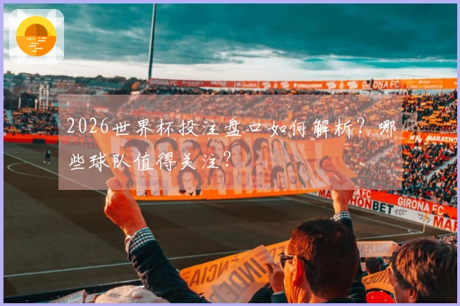 2026世界杯投注盘口如何解析？哪些球队值得关注？