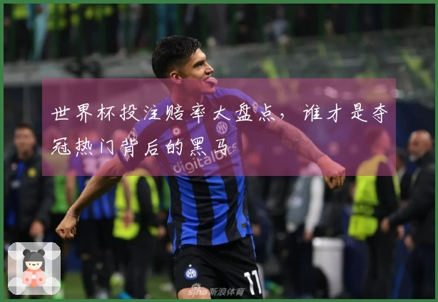 世界杯投注赔率大盘点，谁才是夺冠热门背后的黑马