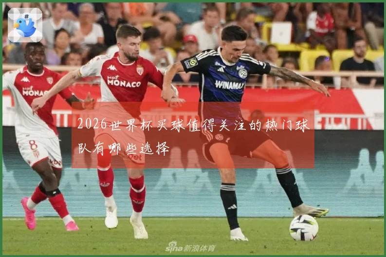 2026世界杯买球值得关注的热门球队有哪些选择