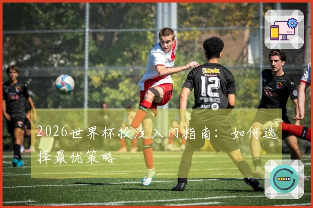 2026世界杯投注入门指南:如何选择最优策略